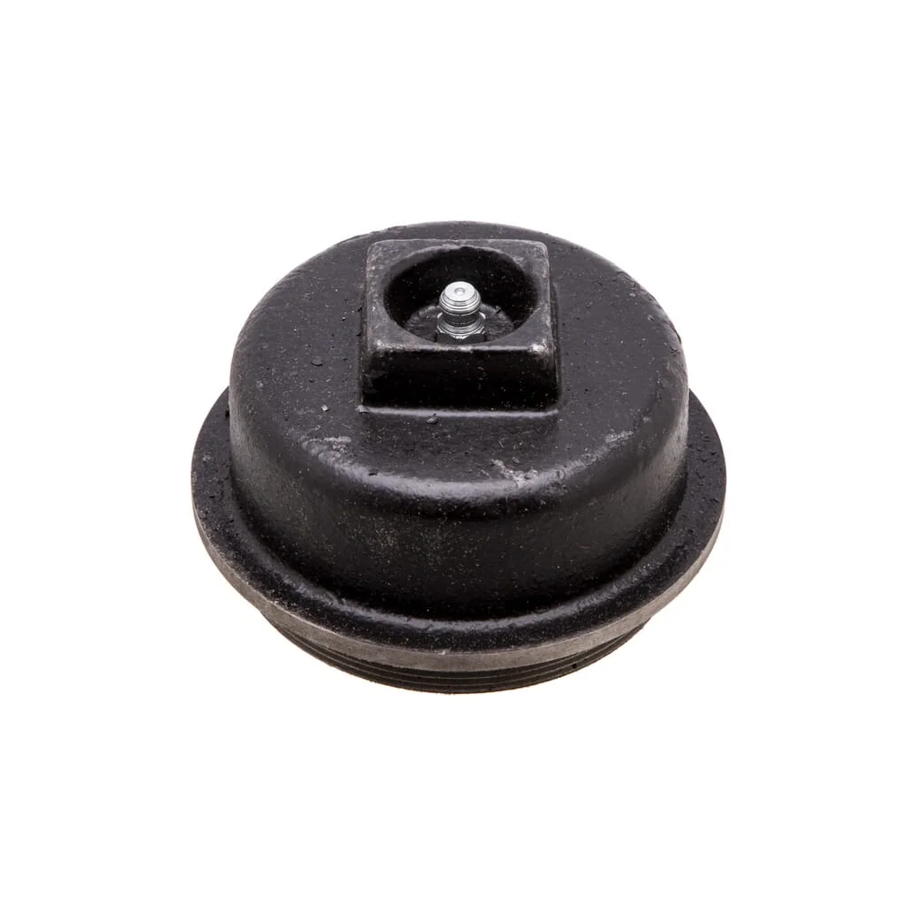 Capac butuc VPJ1304