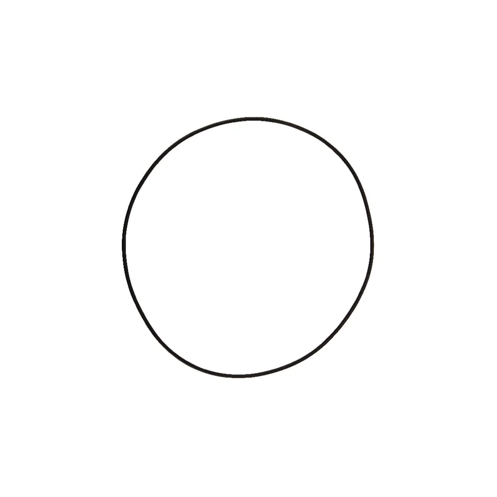 O-ring 164,77x2,62mm 70 shore negru Comet 12100355