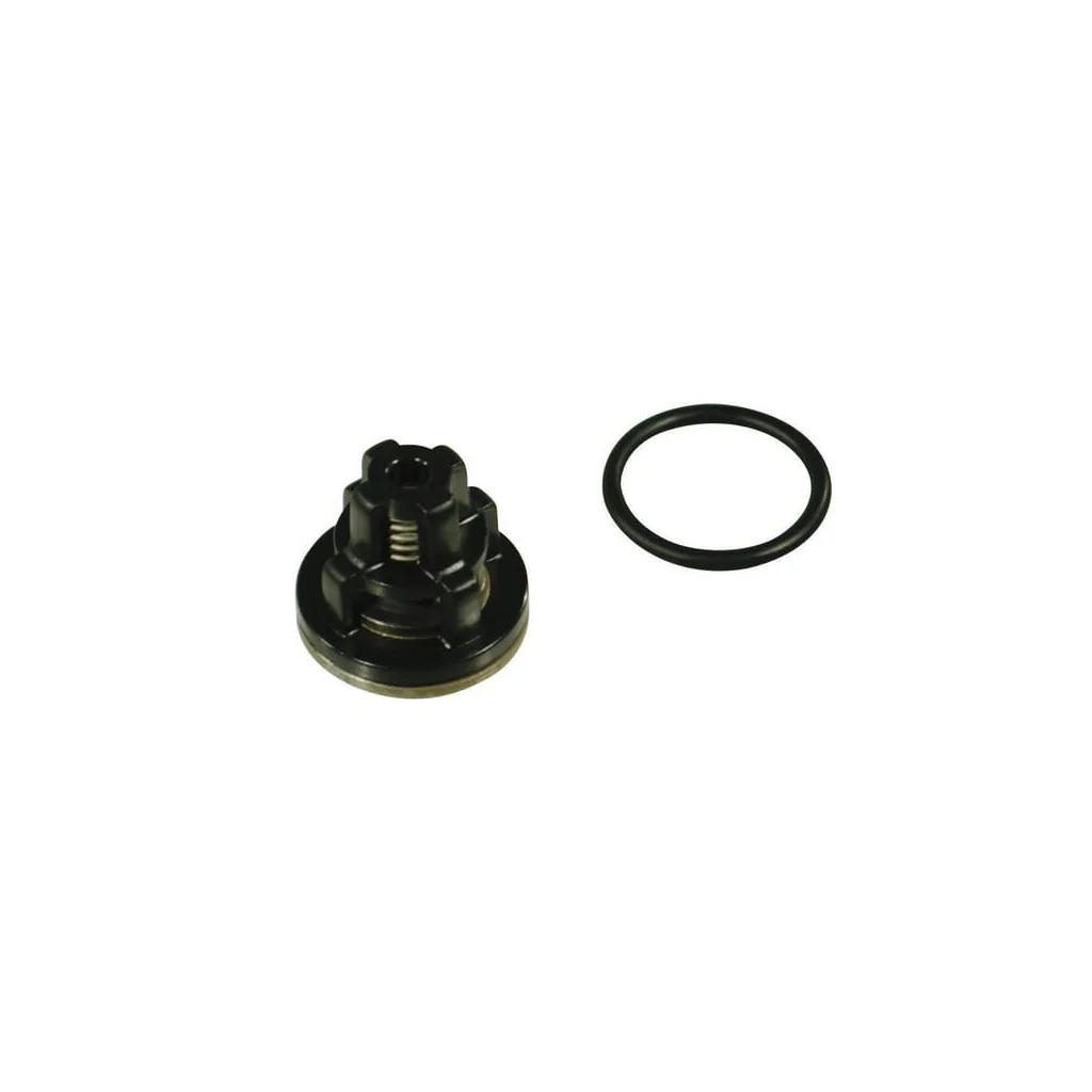 Ventil complet 12200035
