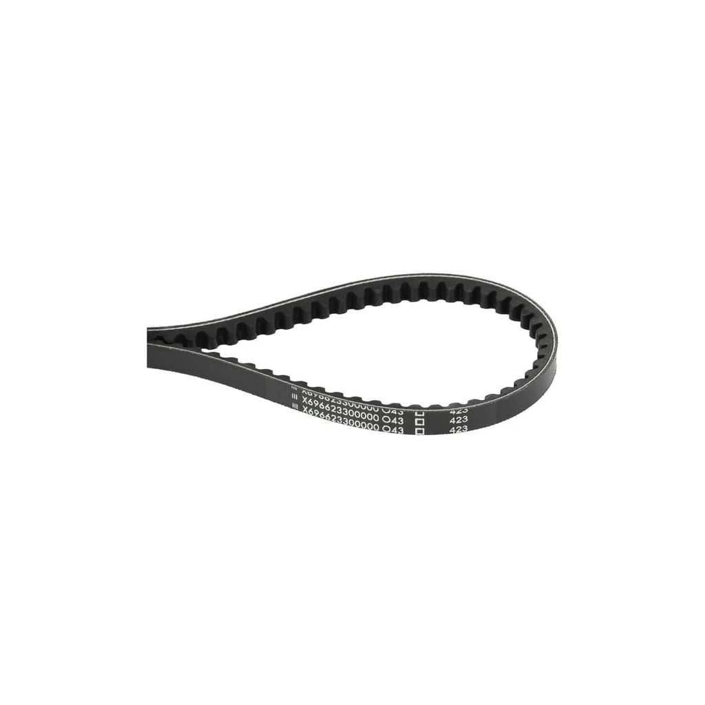 Curea trapezoidală X696623300000
