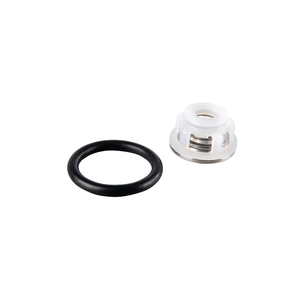 Set supapă pompa erbicidator ZF1337