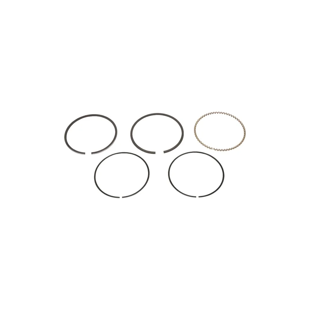 Segmenți piston 130086055