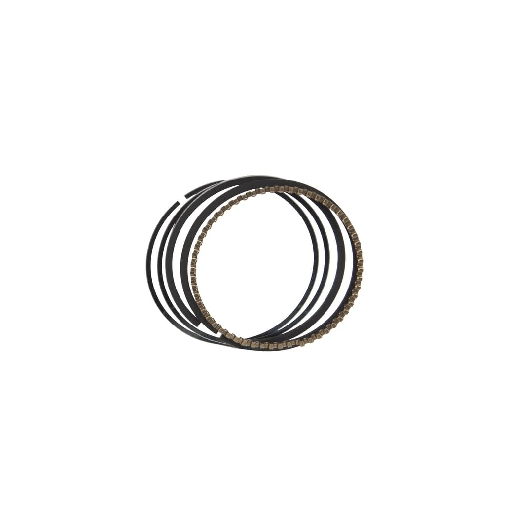Segmenți piston 130087001