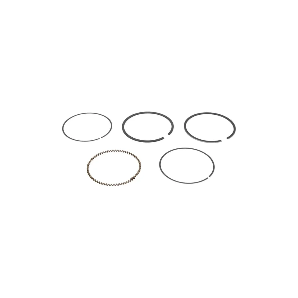 Set segmenti piston L,0.5 130252074