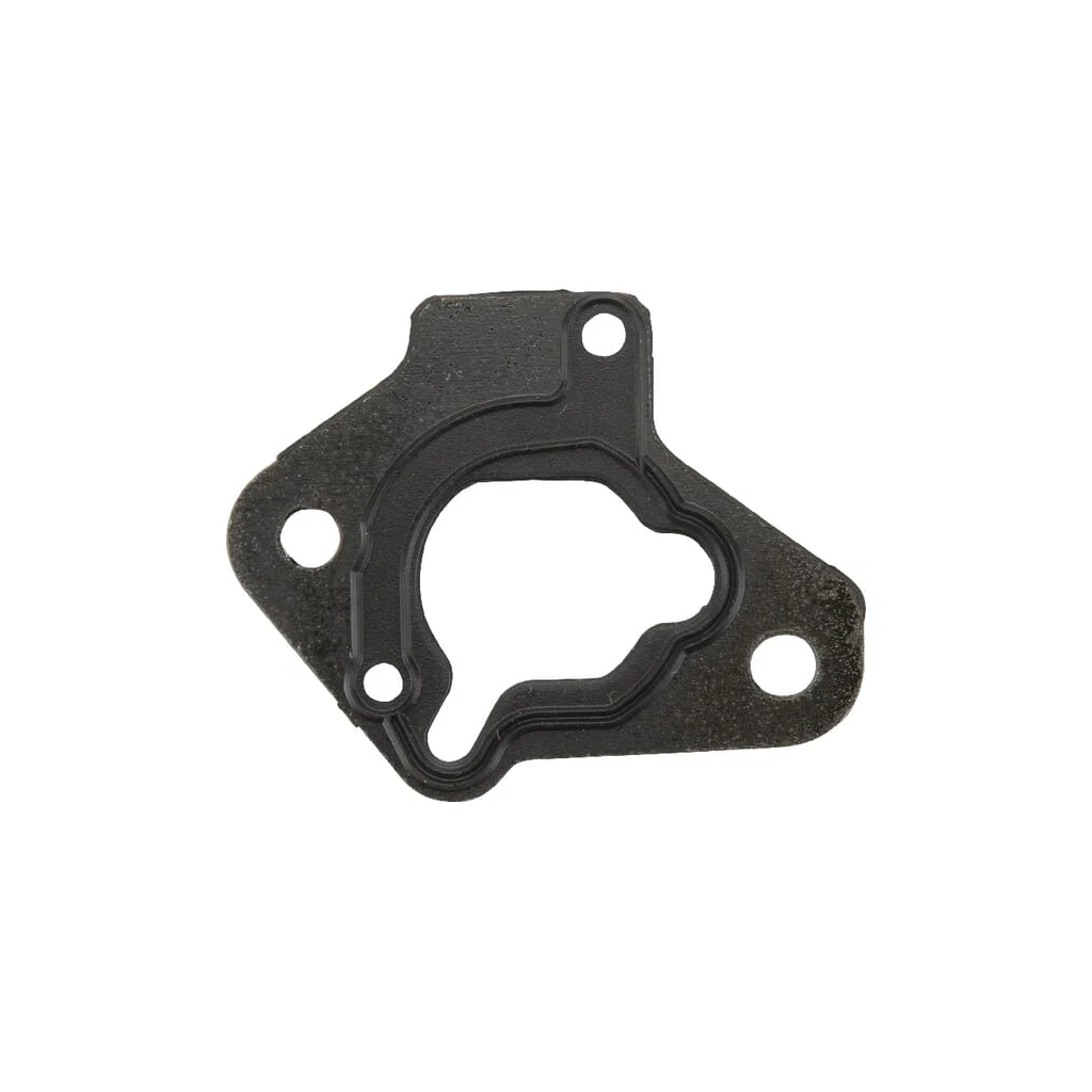 Garnitură filtru de aer 16269ZG1751