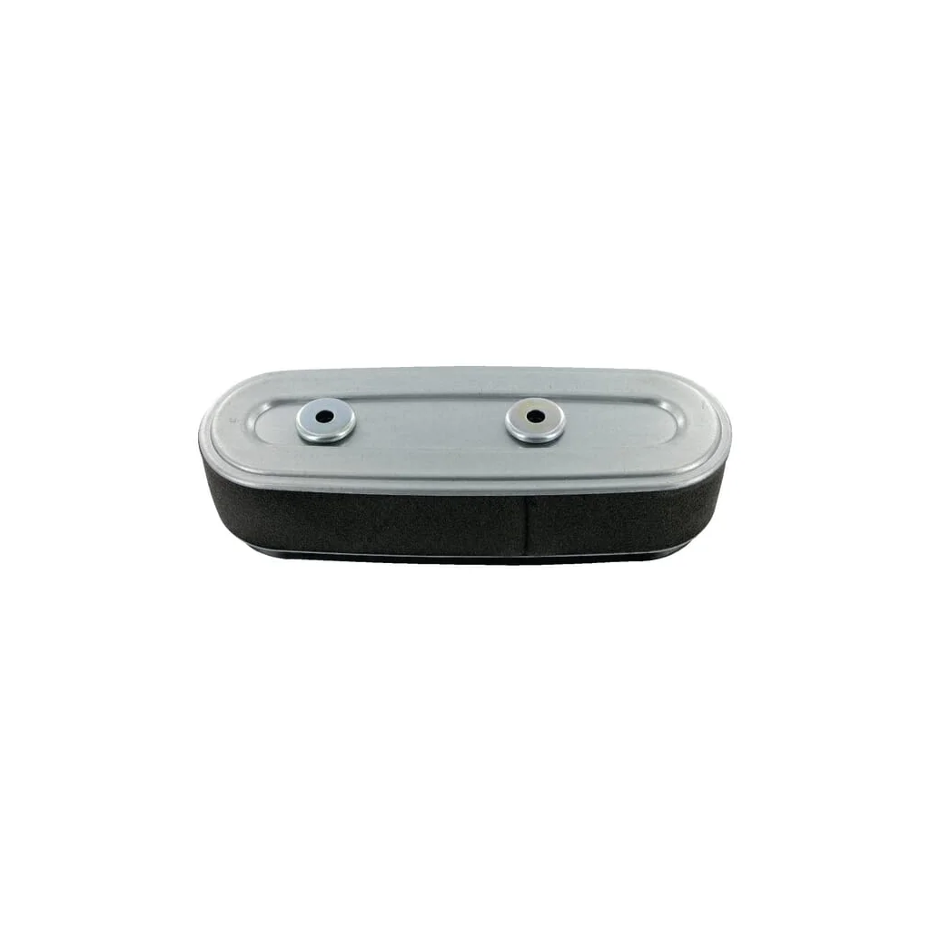 Filtru de aer oval 17210Z1V003