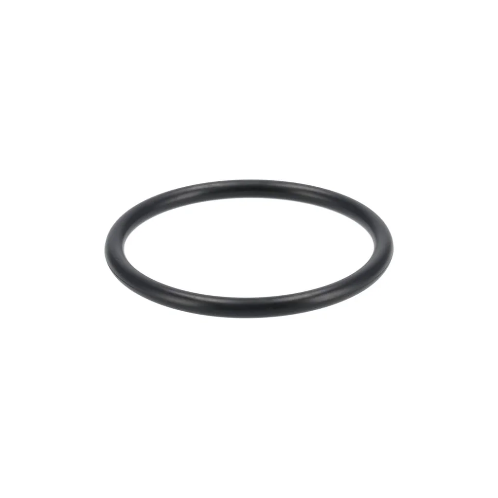 Combustibil - Filtru (opțional) 1G31143570