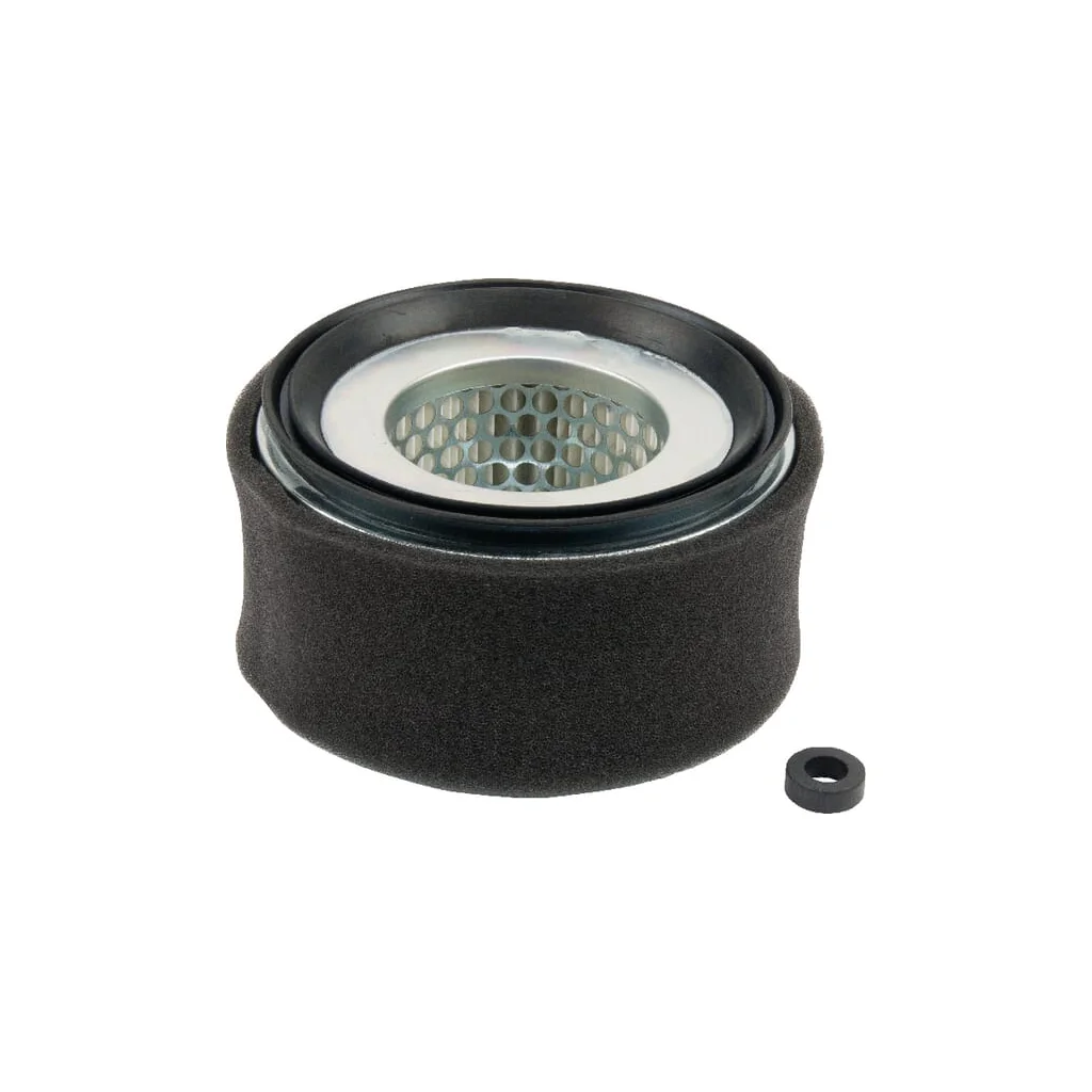 Filtru de aer Lombardini 2175252