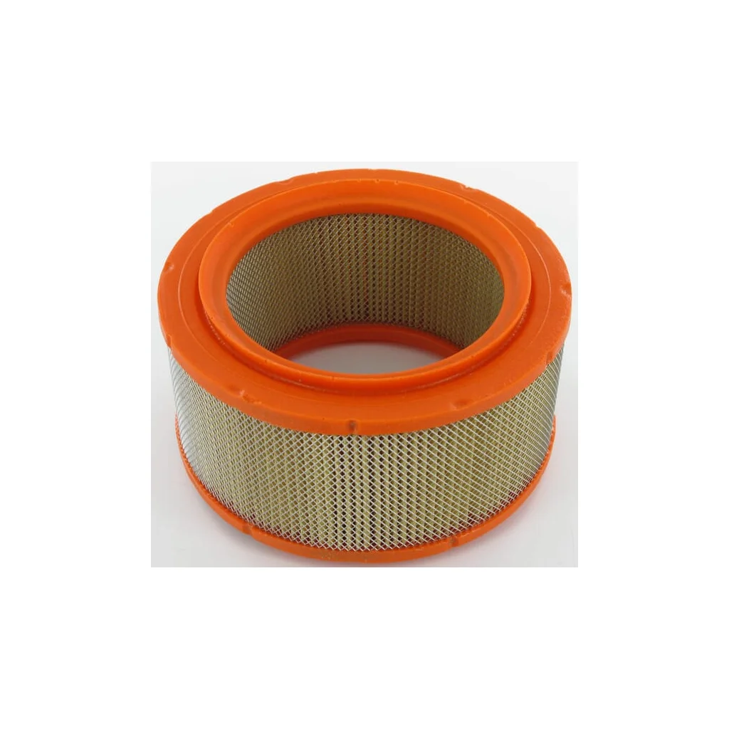 Filtru de aer 2175050