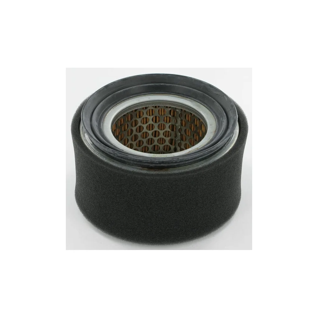 Filtru de aer 2175240