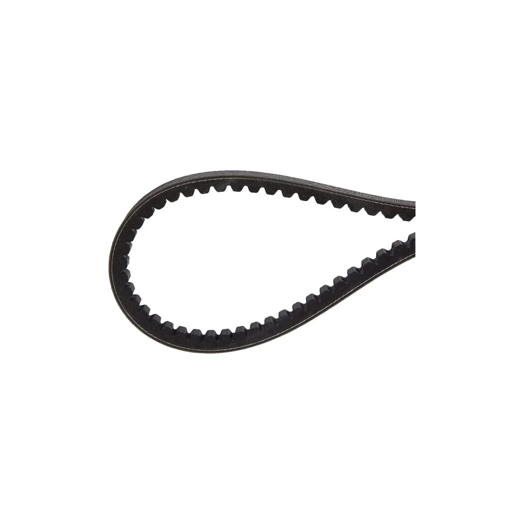 Curele de transmisie trapezoidală 241190050
