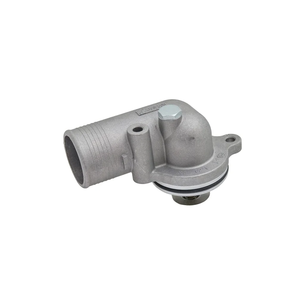 Ansamblu termostat 2542268