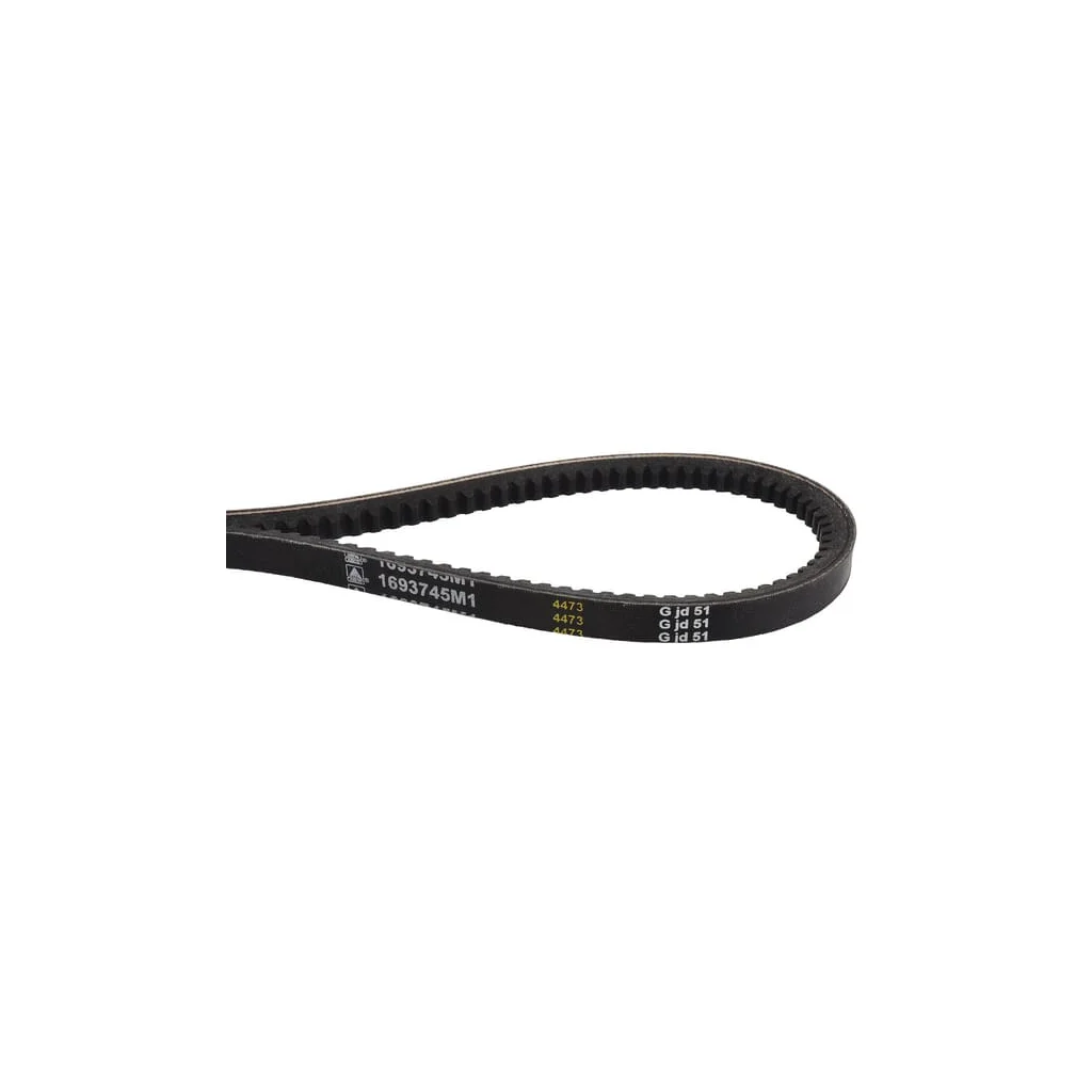 Curea trapezoidală 0021825520