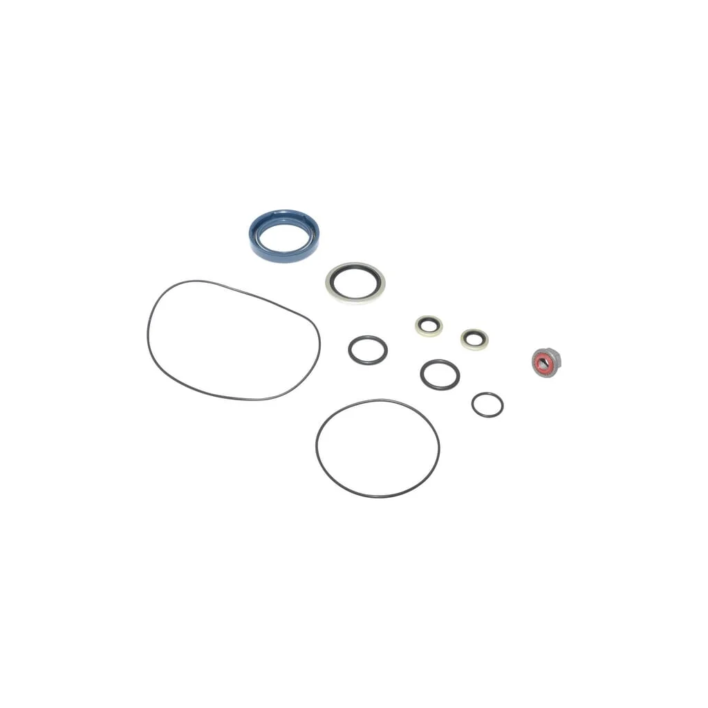Set de garnituri pentru motor hidraulic 284800