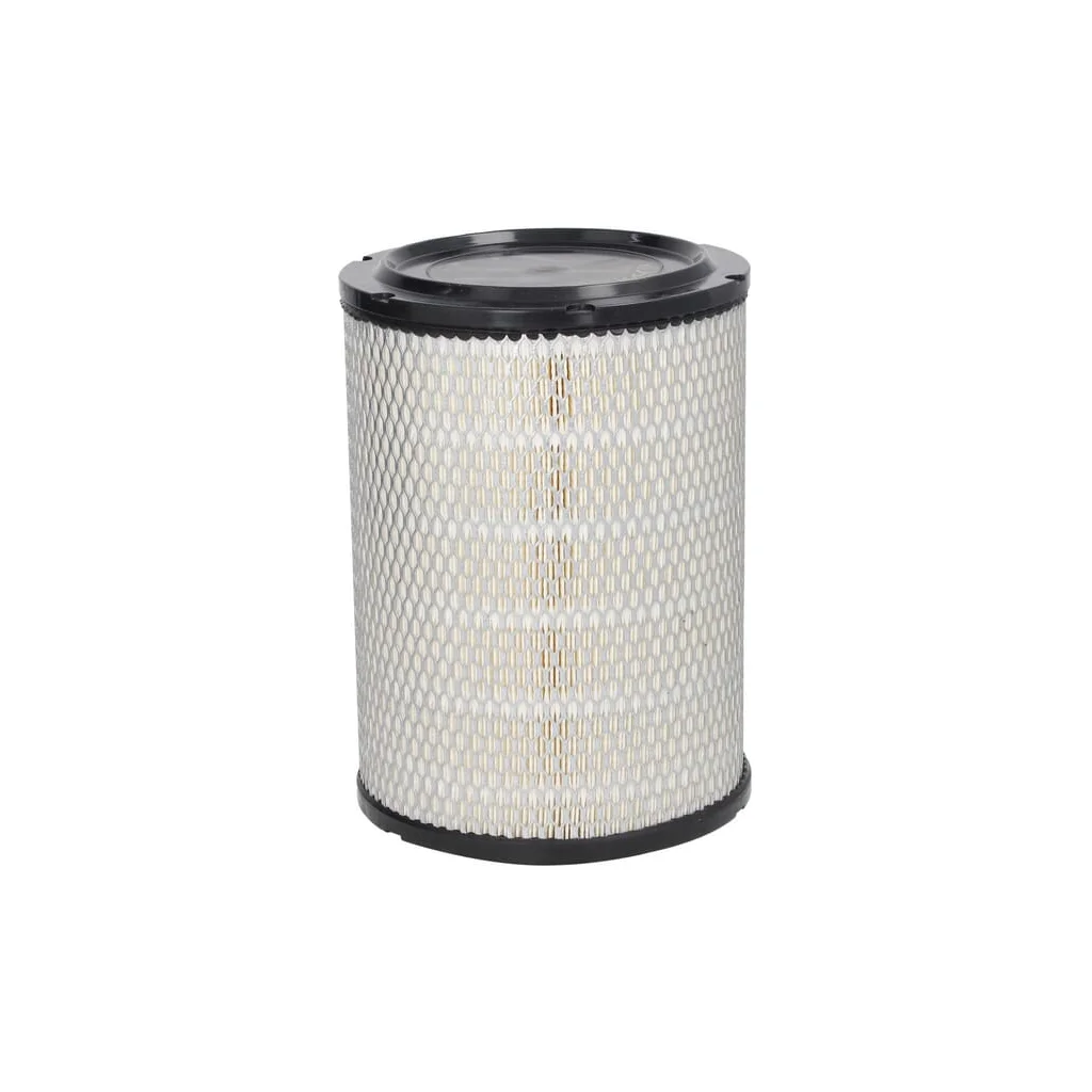 Filtru aer exterior principal 3P30011220