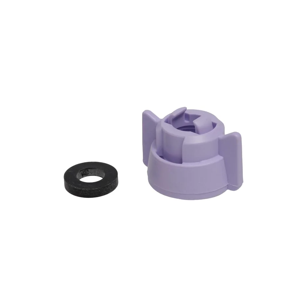 Capac duză baionetă SW10/8 violet cu garnitură 25 buc. Arag 40299013P025