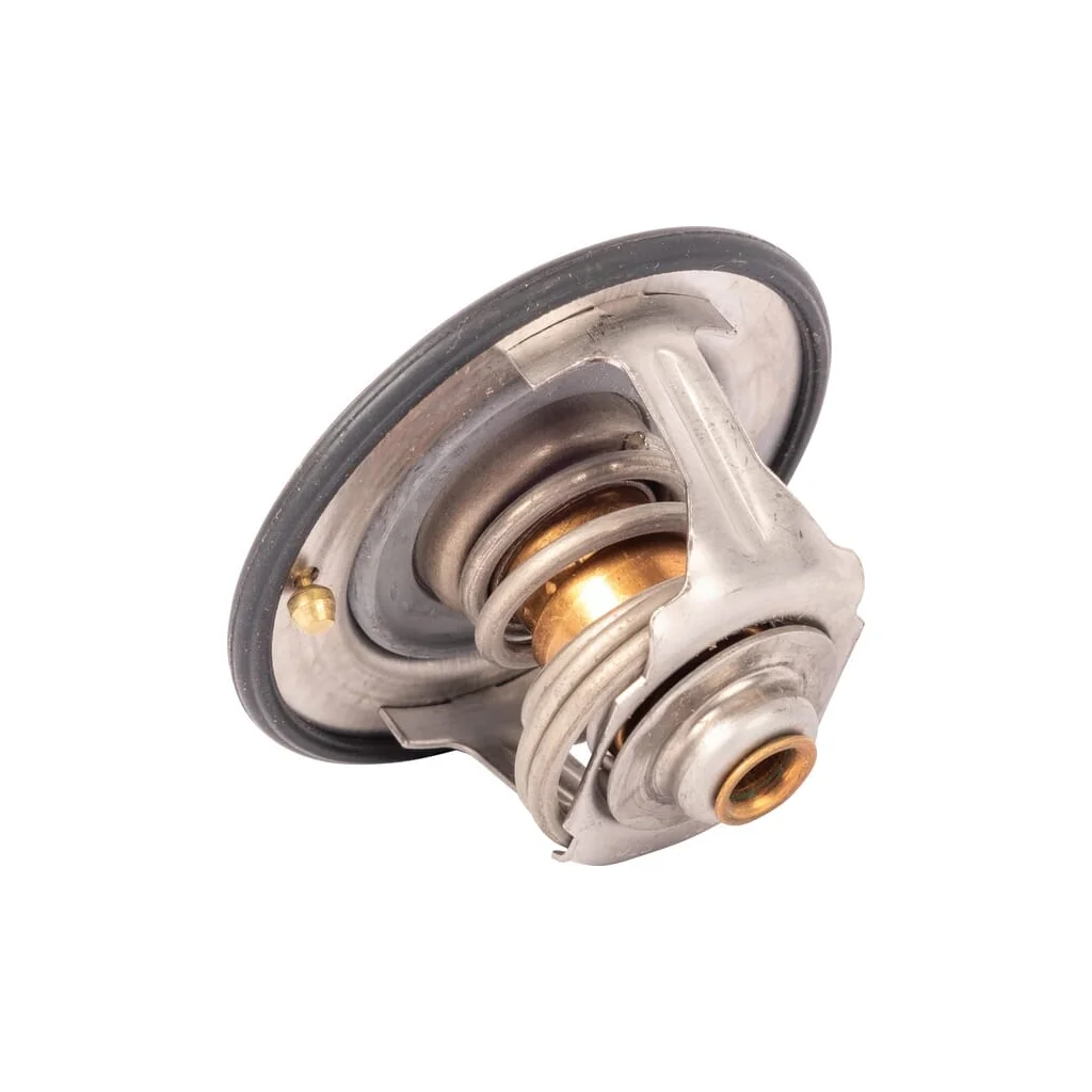 Termostat 4215604M2