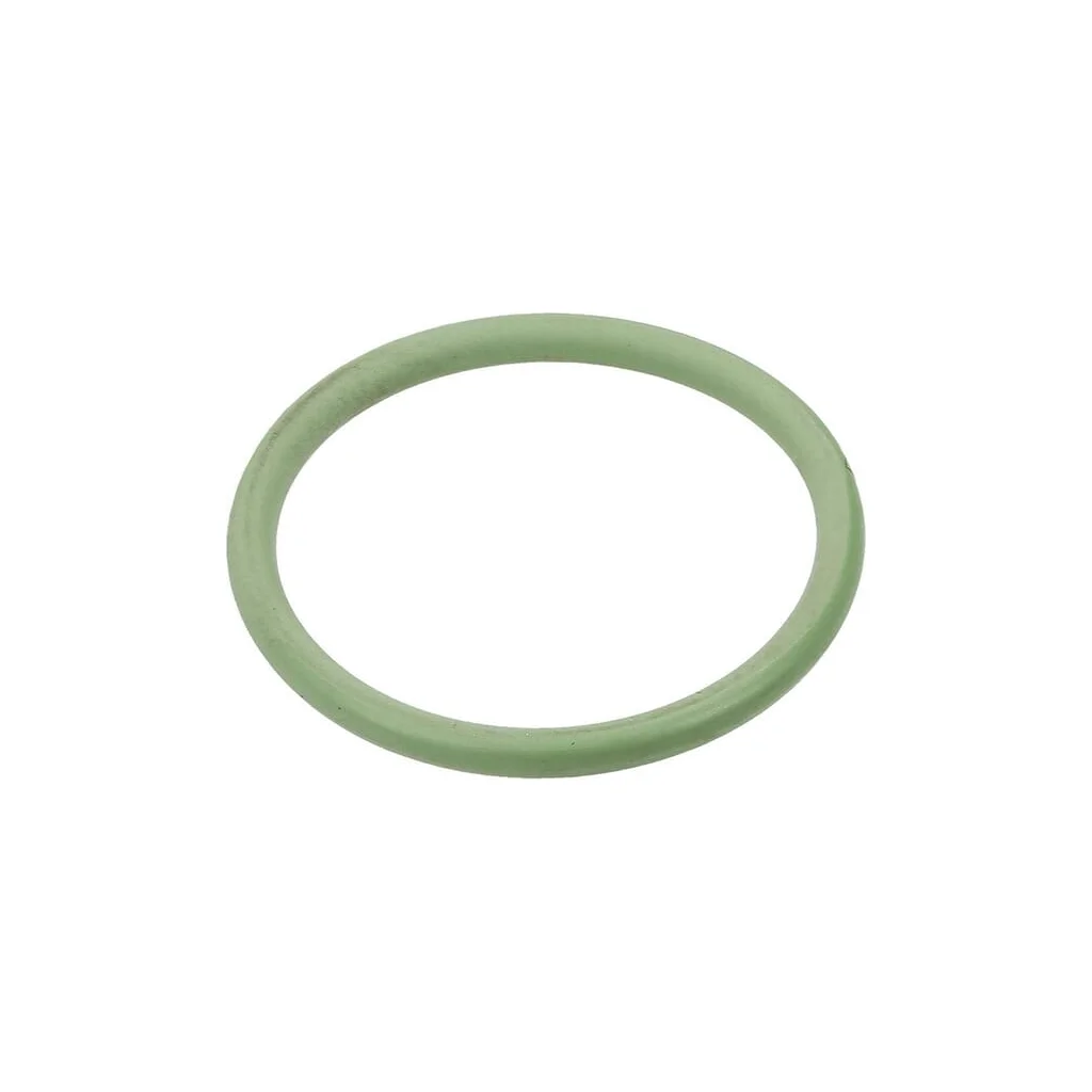 O-ring 18.77 x 1.78 Viton 465900060