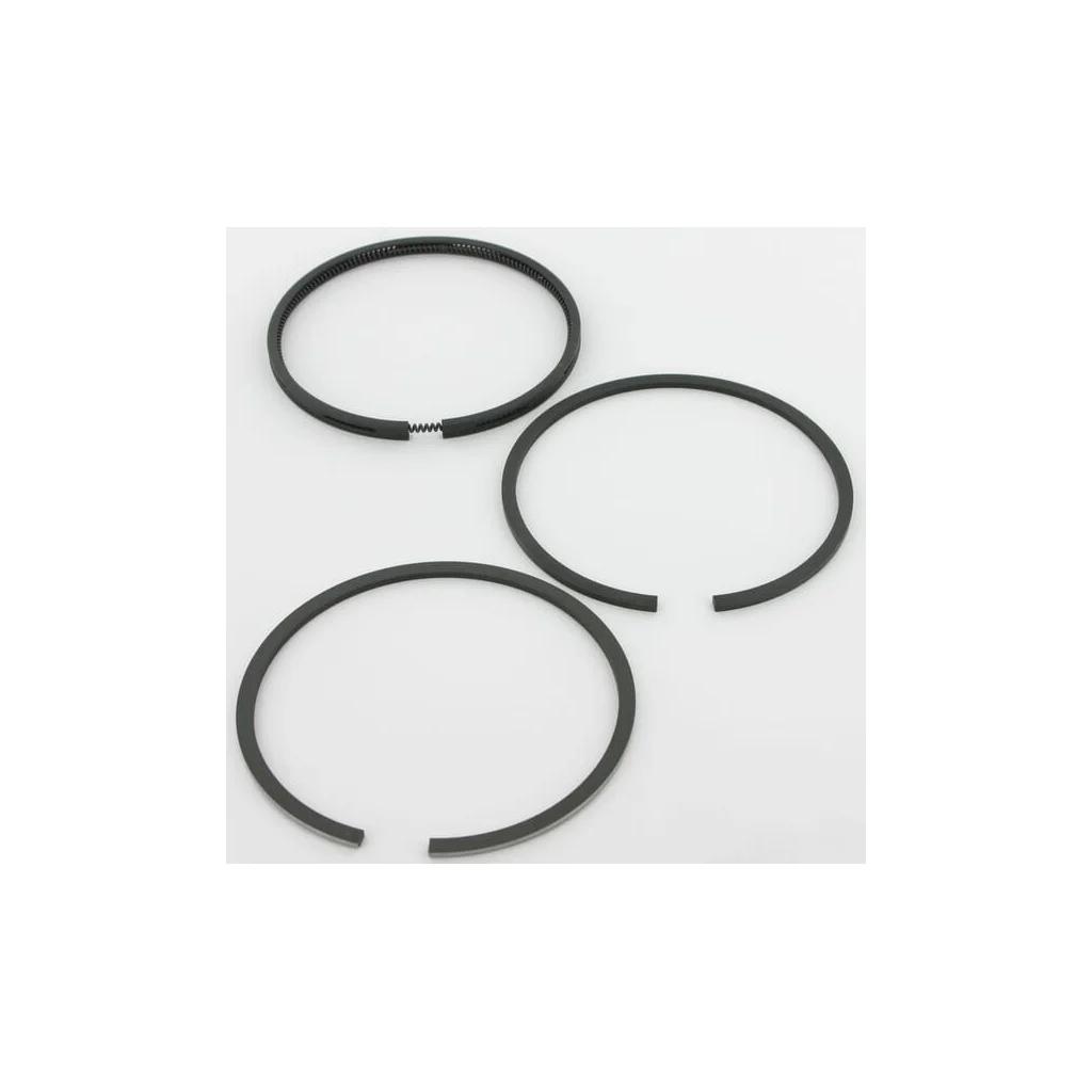 Set segmenți piston standard 495854