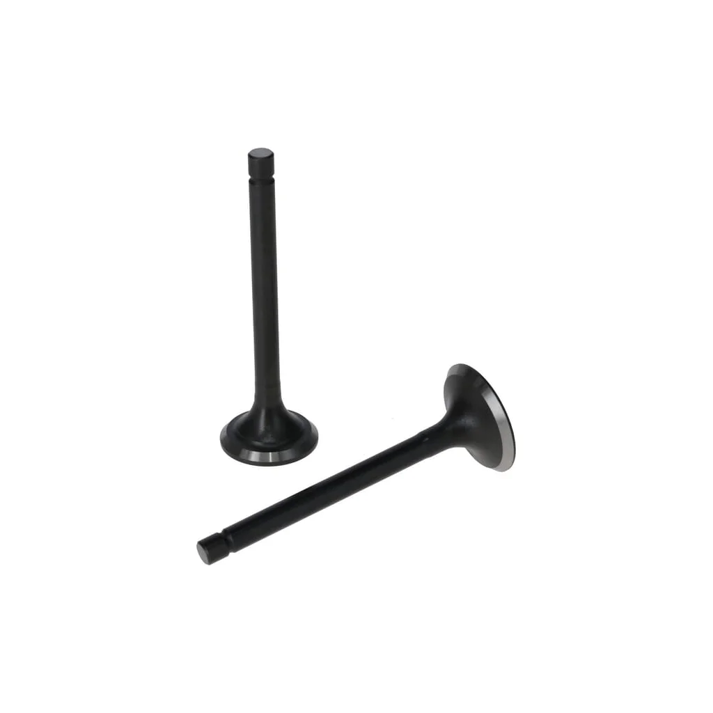 Set supapă 5005500310001