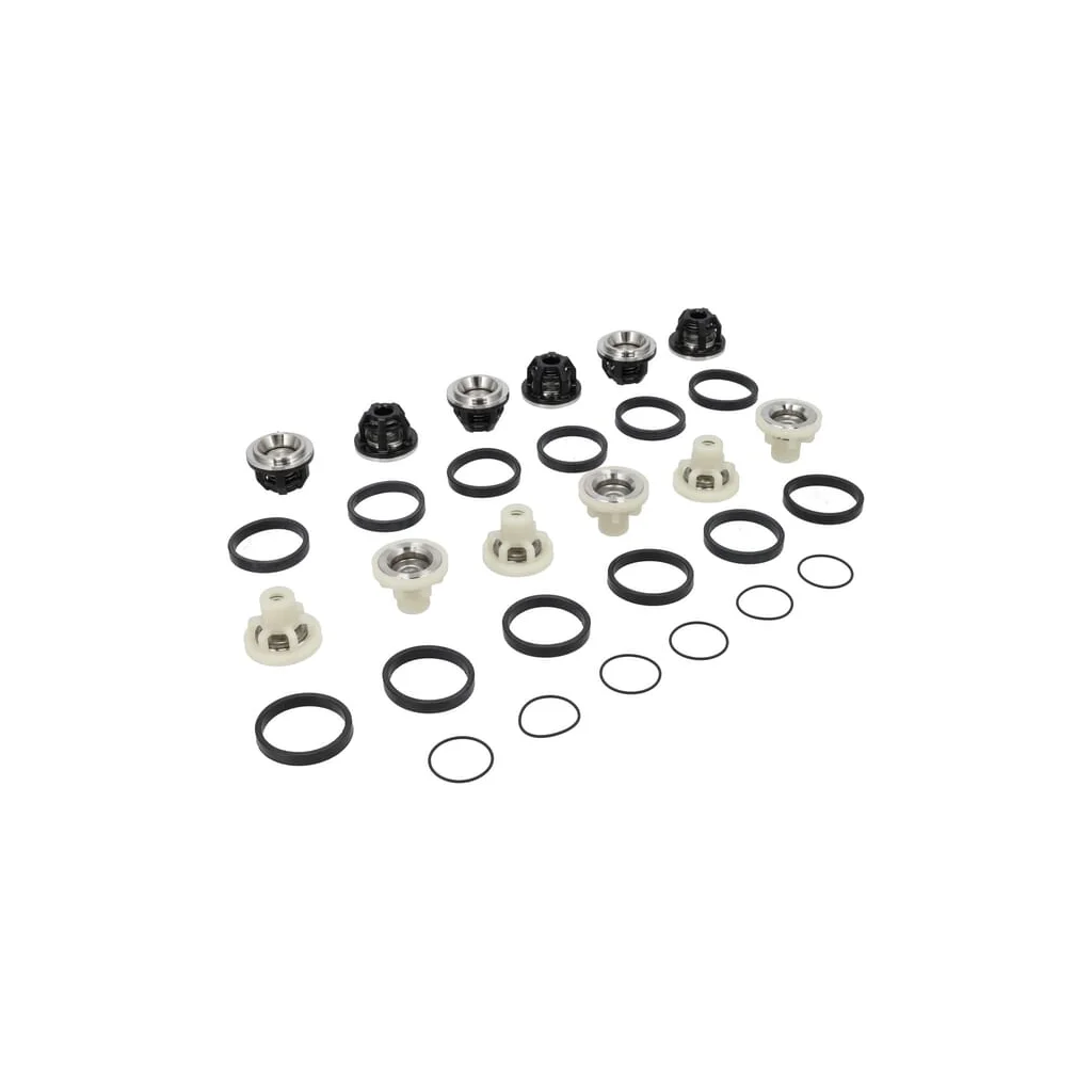 Kit complet ansamblu supapă 50250048