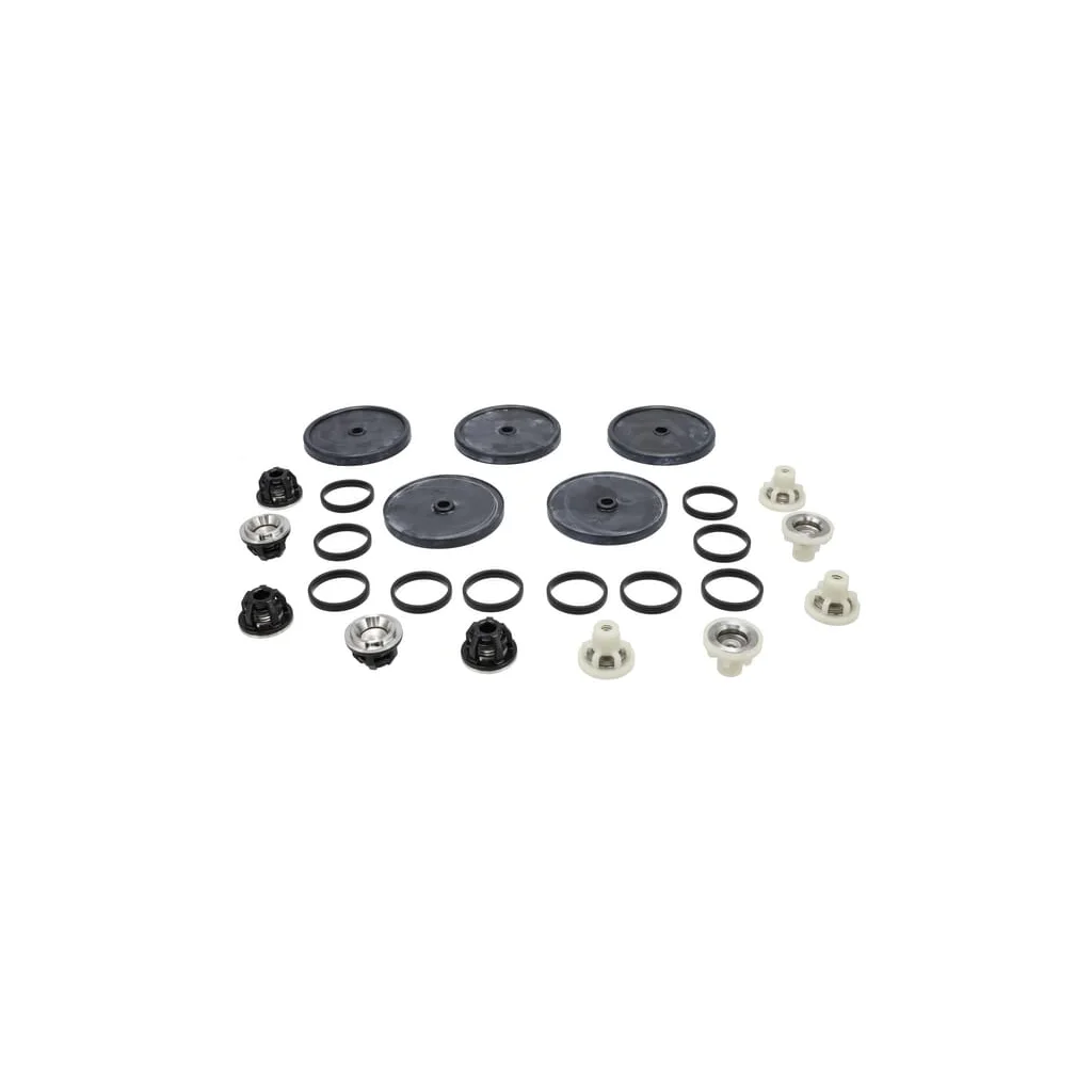 Kit piese de schimb pentru pompă 50260382