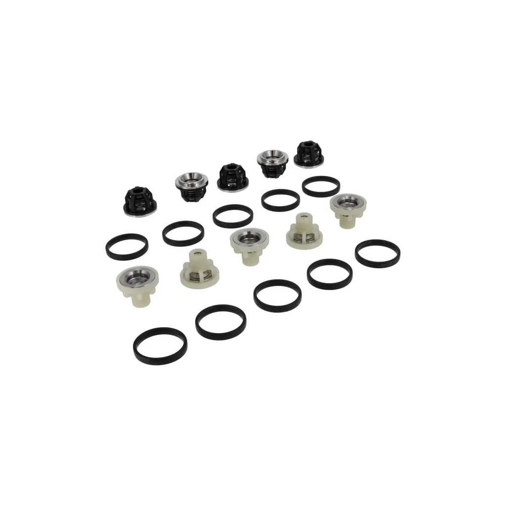 Kit complet ansamblu supapă 50250065