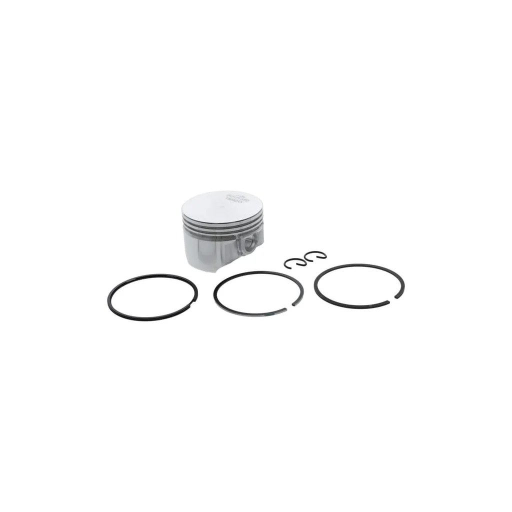 Set piston 555660