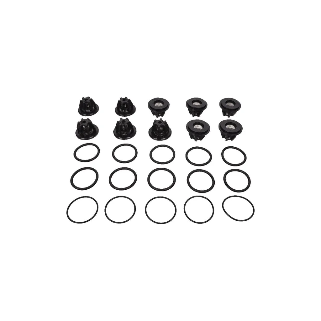 Set supape Bertolini 559802973