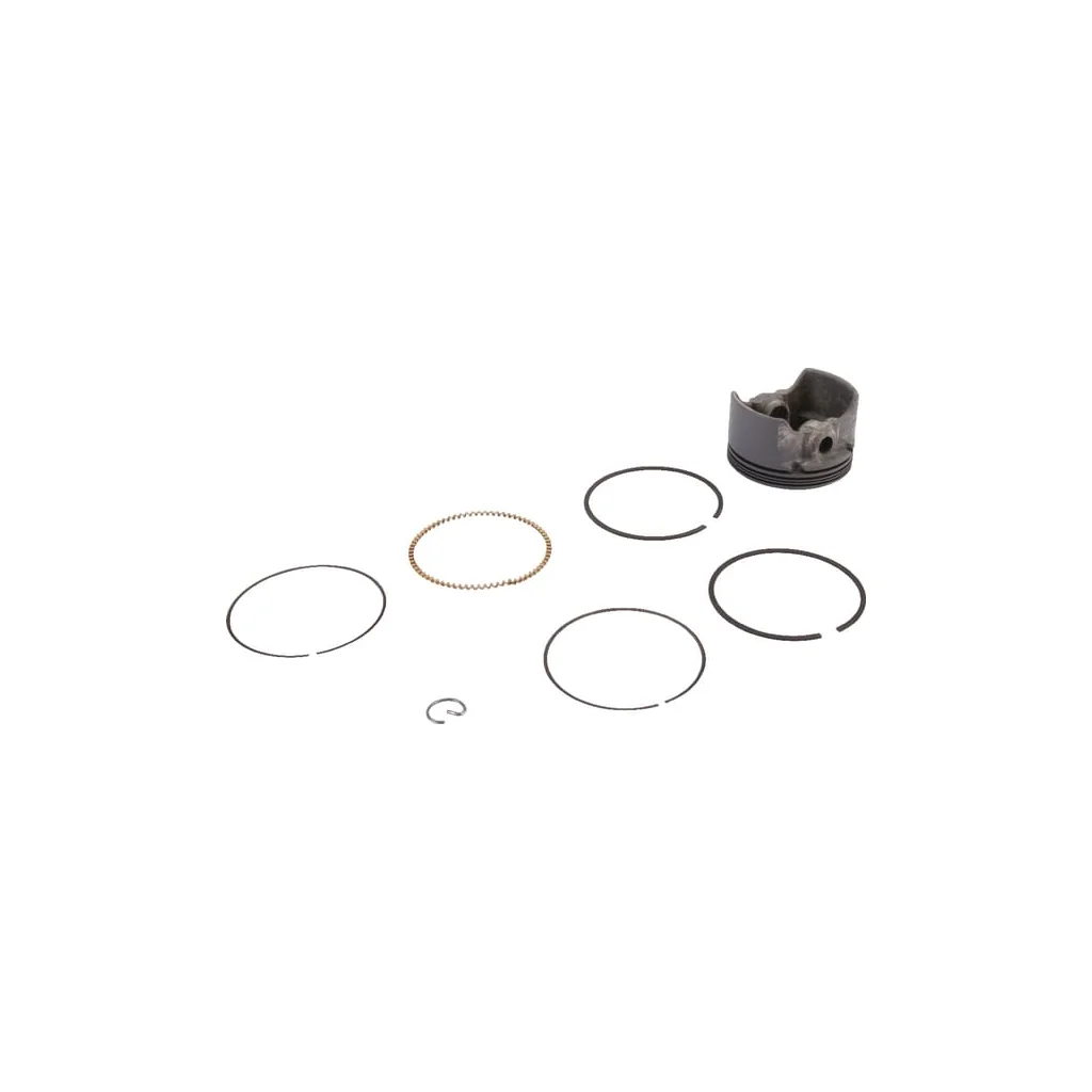 Piston complet standard 590521