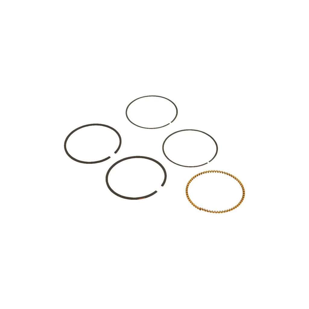 Set segmenți piston standard 590523