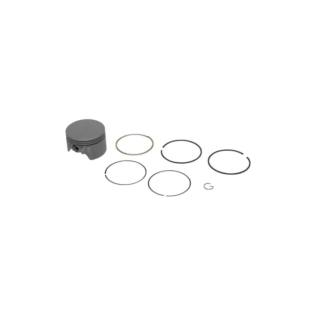 Piston complet standard 591975