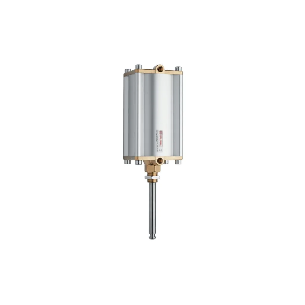 Cilindru pneumatic 6" 6000575