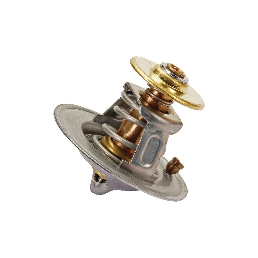 Termostat 6005031321