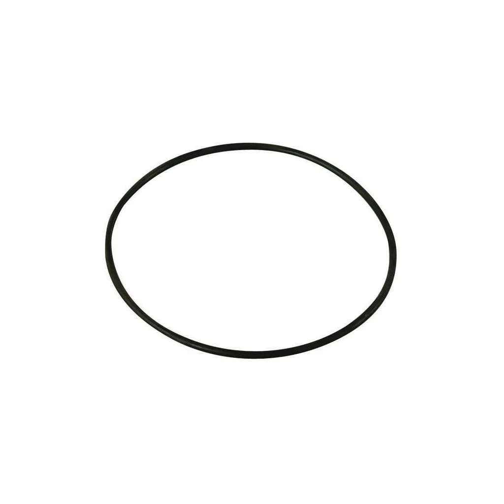 O-ring 17,5x2,62mm 70 shore EPDM negru Annovi Reverberi 620561