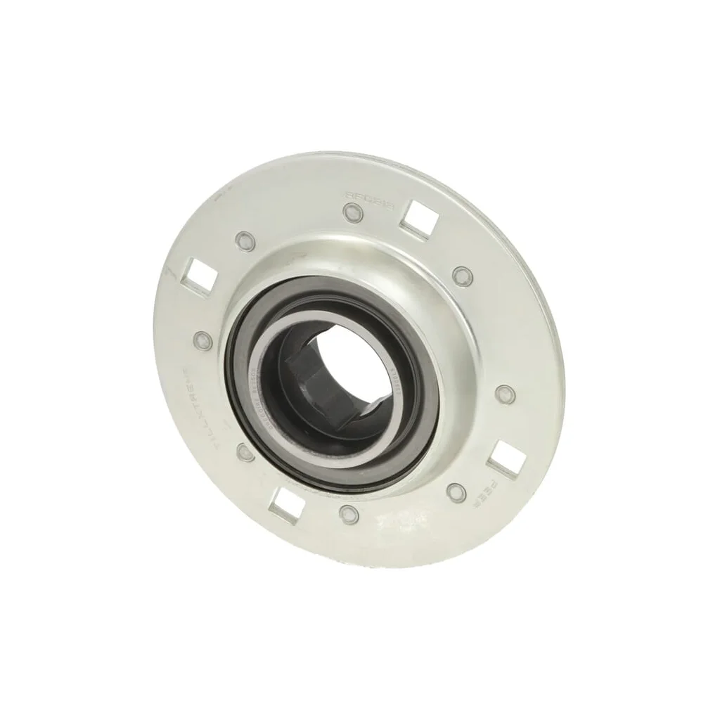 Rulment 6300953