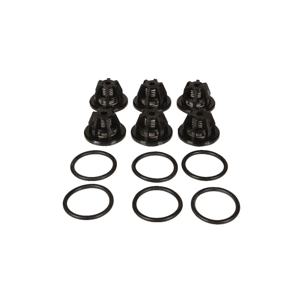Set supape Bertolini 629804973