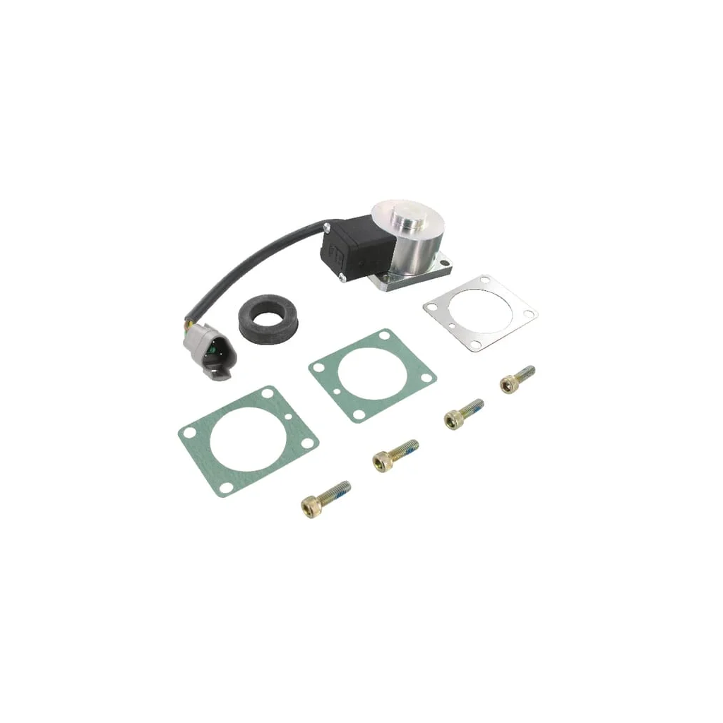 Electromagnet de ventil 12V 01660911