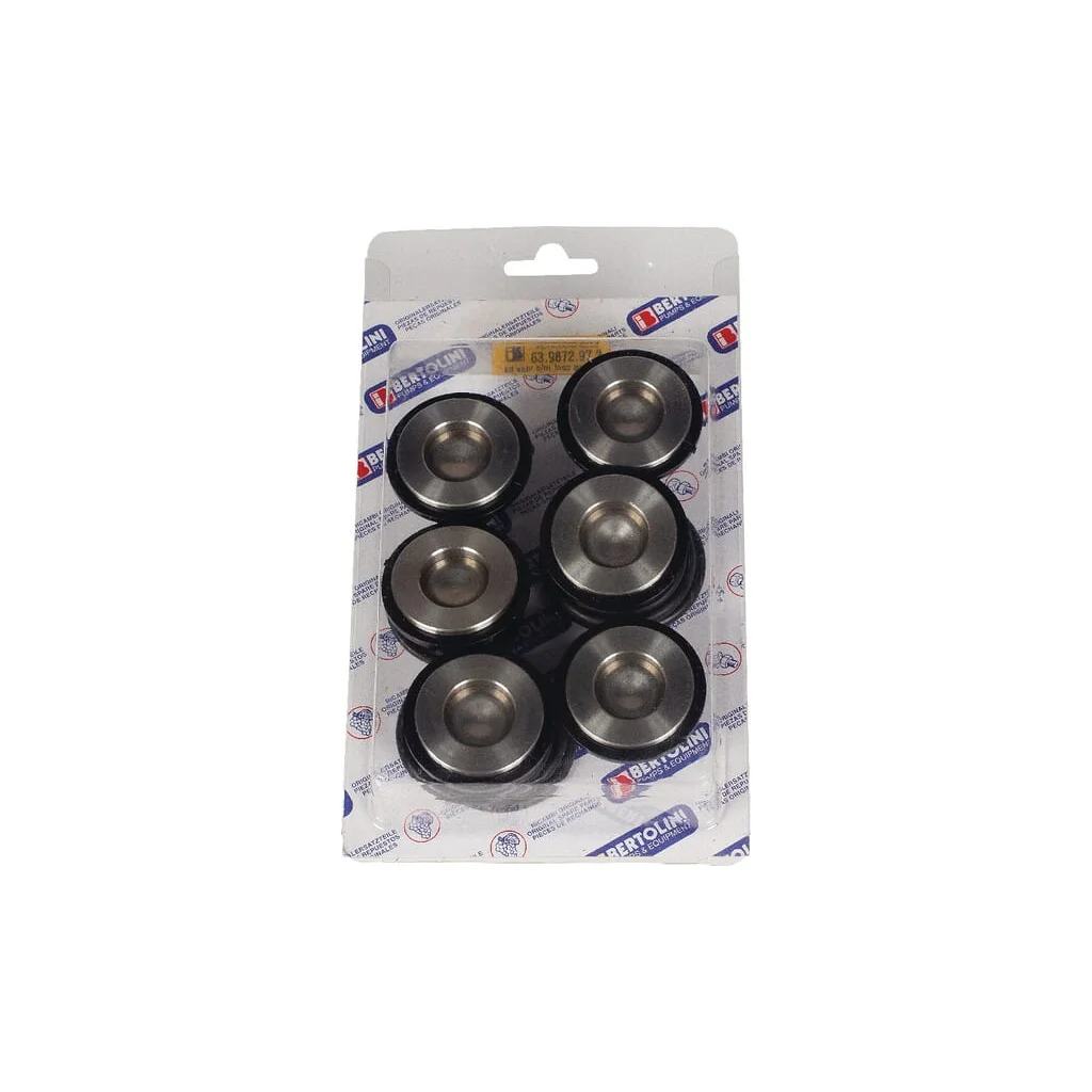Set supape Bertolini 639872973