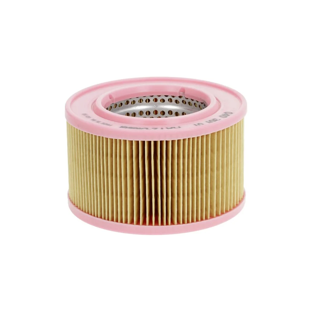 Filtru de aer 04030101