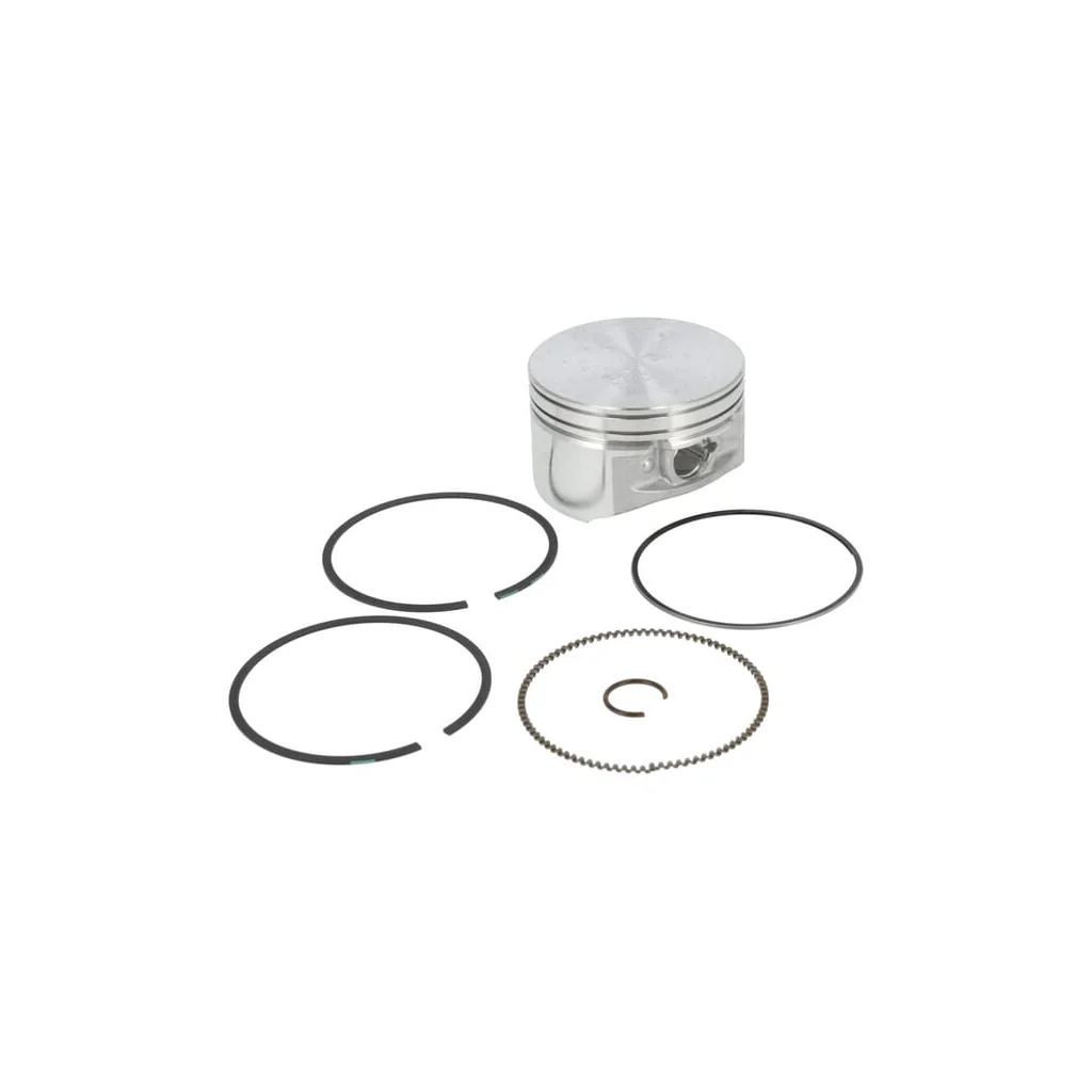 Ansamblu piston 020 793648