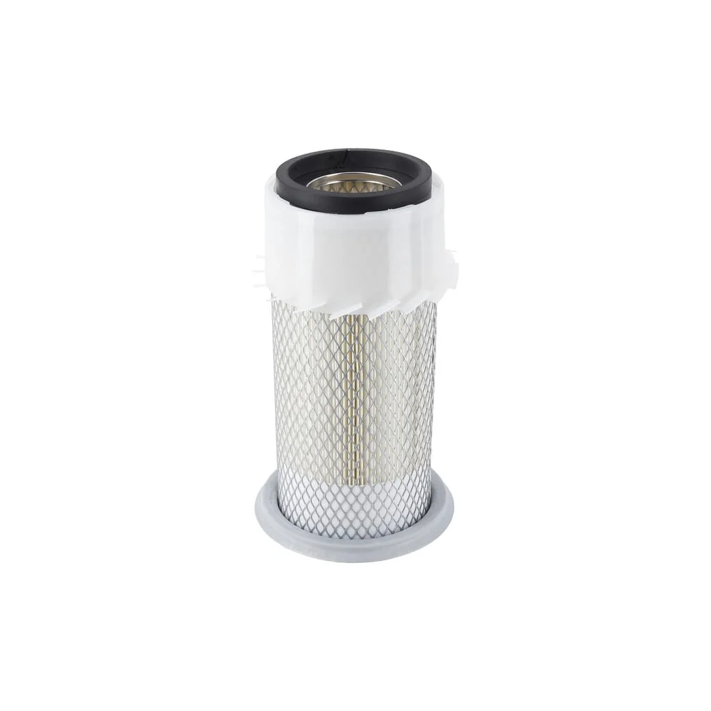 Filtru aer exterior 79011295