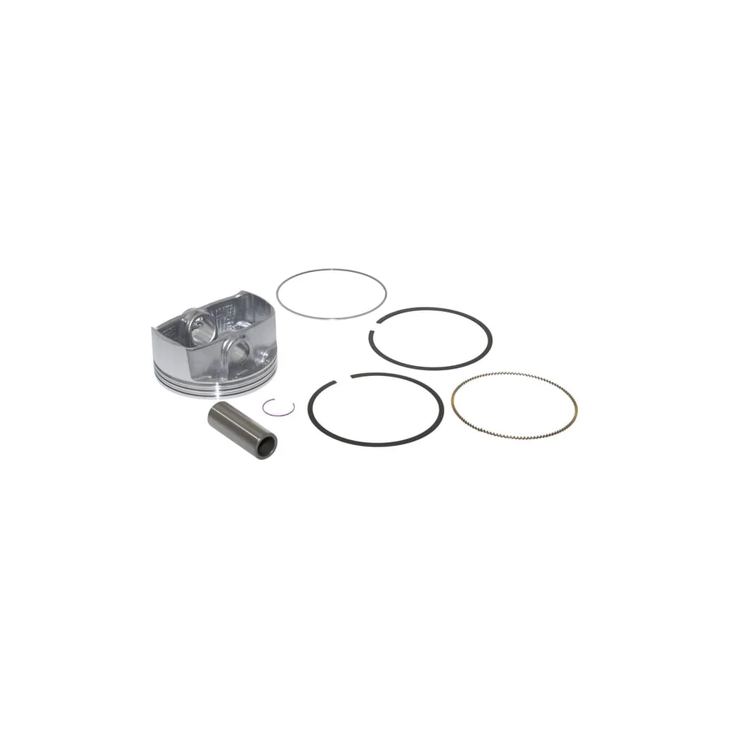 Ansamblu piston 795858