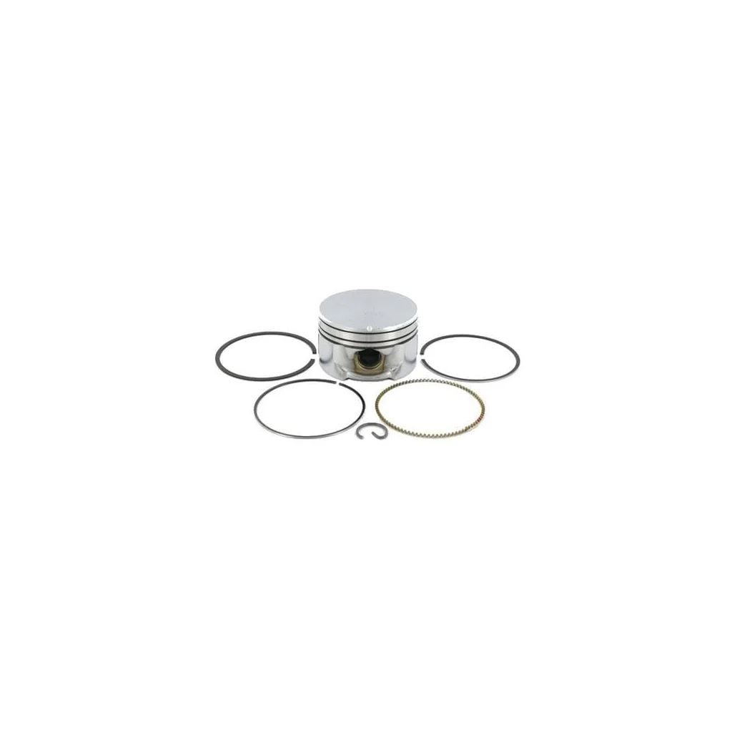Ansamblu piston 020 799064