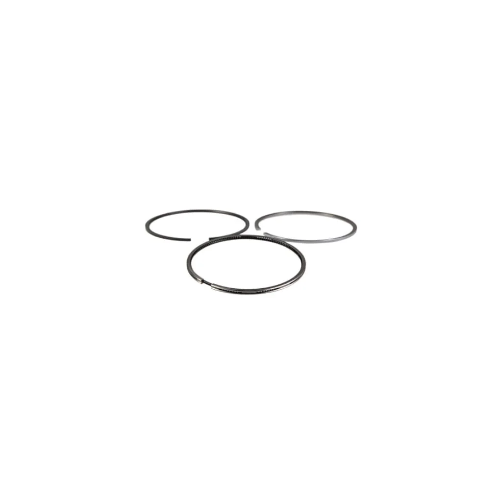 Set inel piston, standard 8094845FPT