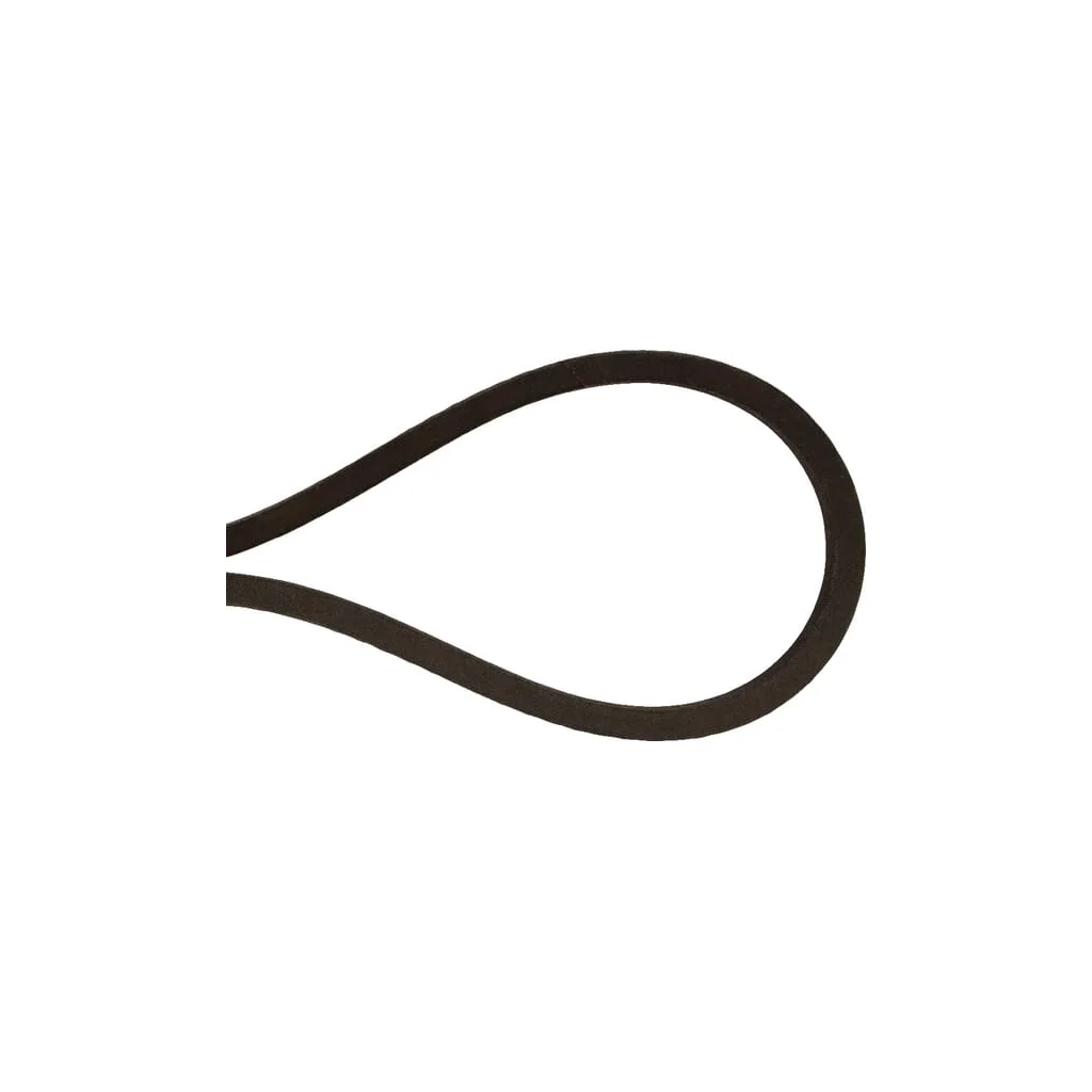 Curea trapezoidală 8113621210