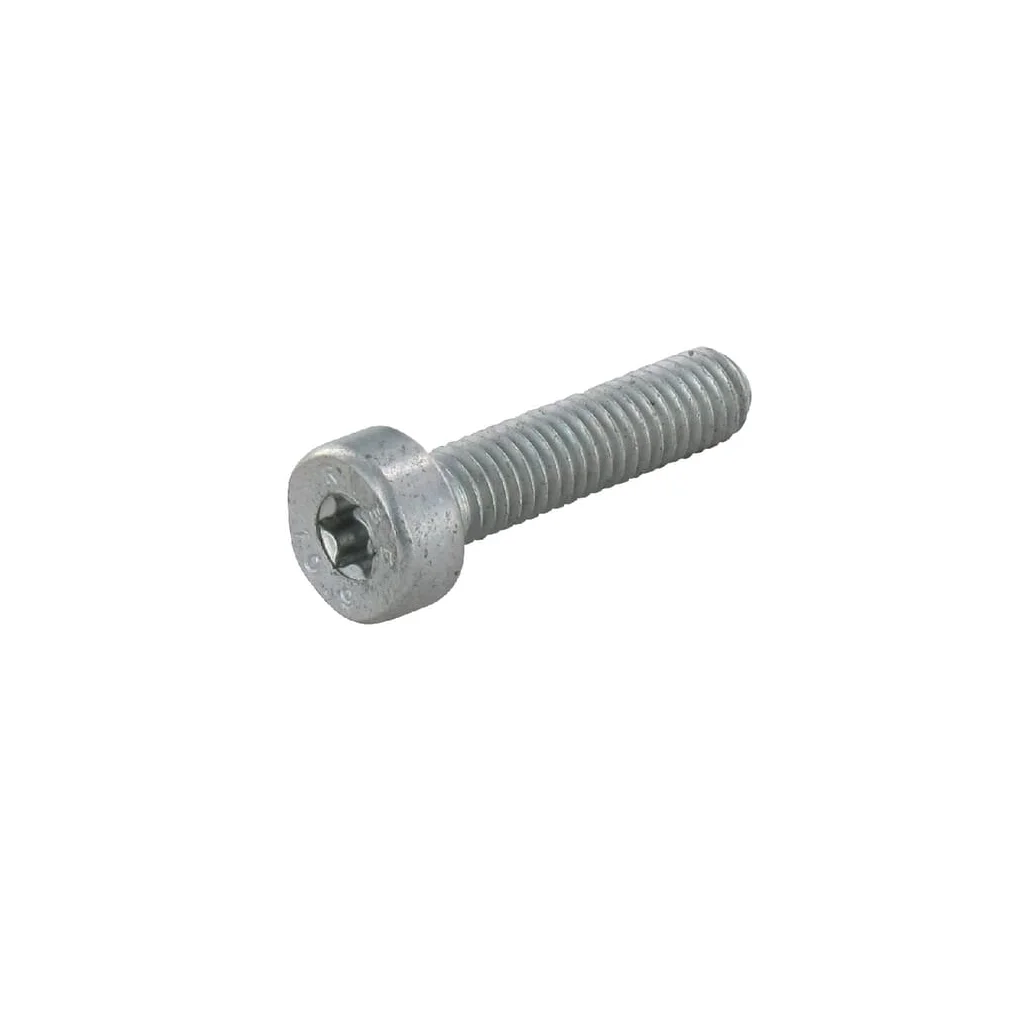 Șurub chiulasă ISm 6x25 90223411350