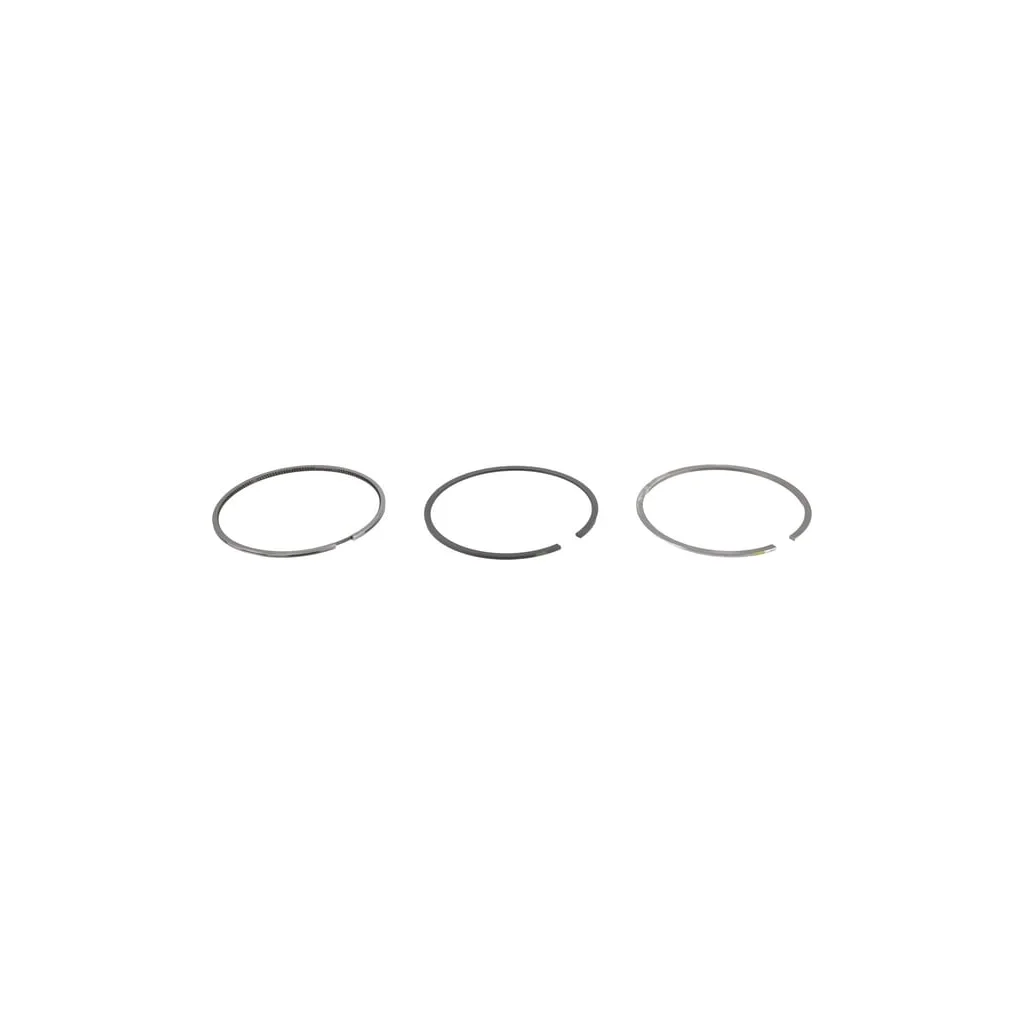 Set inele piston 04287513
