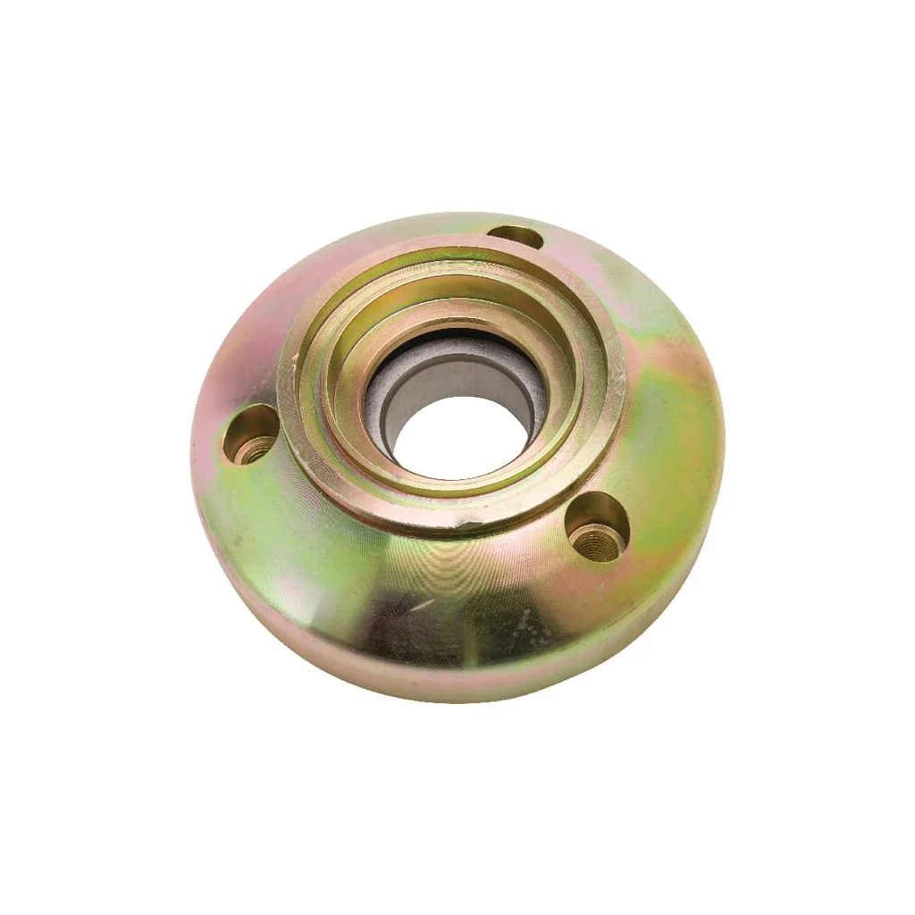 Capac rulment 04321519