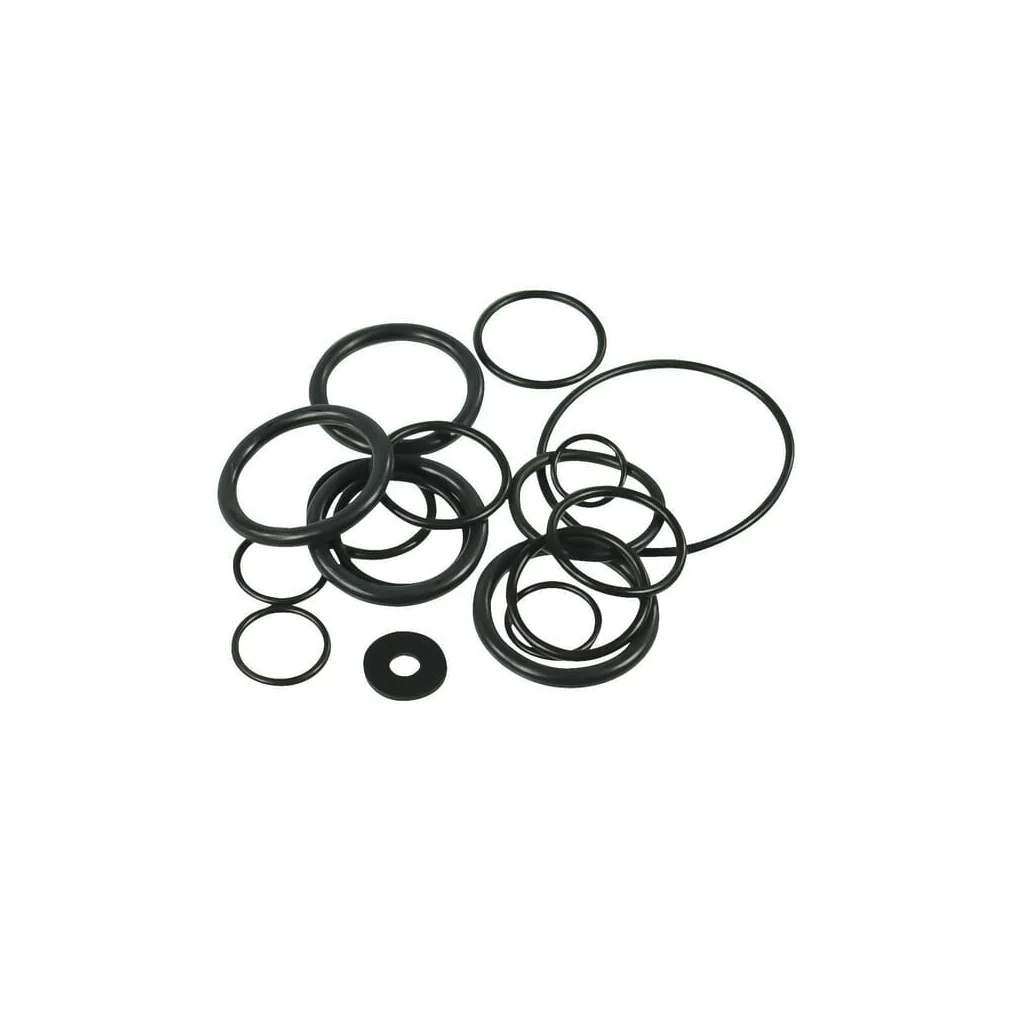 Set o-ringuri AR 50 AR1919